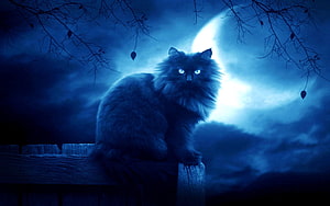 Mystical Long-Haired Cat Sitting on a Fence Under a Glowing Full Moon at Night HD wallpaper