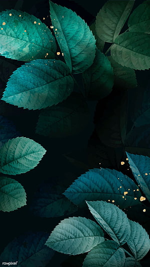 Dark Teal Foliage Pattern with Gold Accents for Mobile and Desktop HD phone wallpaper