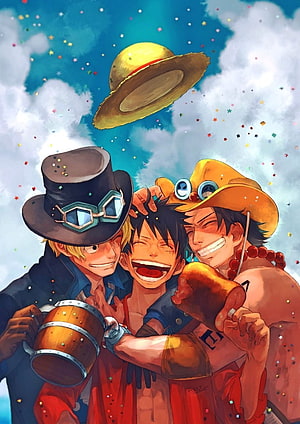 Luffy, Sabo, and Ace Celebrating Together in One Piece Anime Art HD phone wallpaper