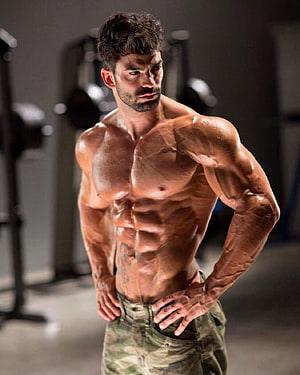 Sergi Constance Fitness Model Displaying Defined Muscular Physique in Gym Setting HD phone wallpaper