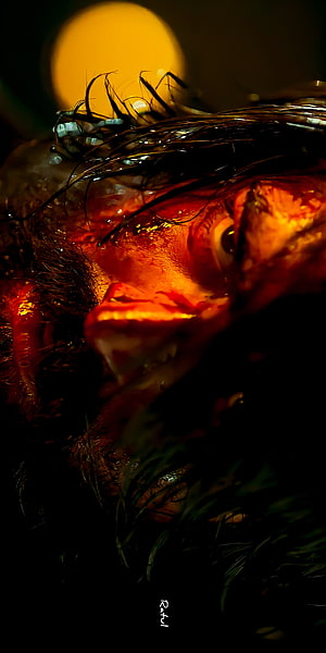 Close-up portrait of a man's face illuminated by intense orange light with wet hair and dramatic shadows, KGF Chapter 2, eye, Rocky, Yash HD phone wallpaper