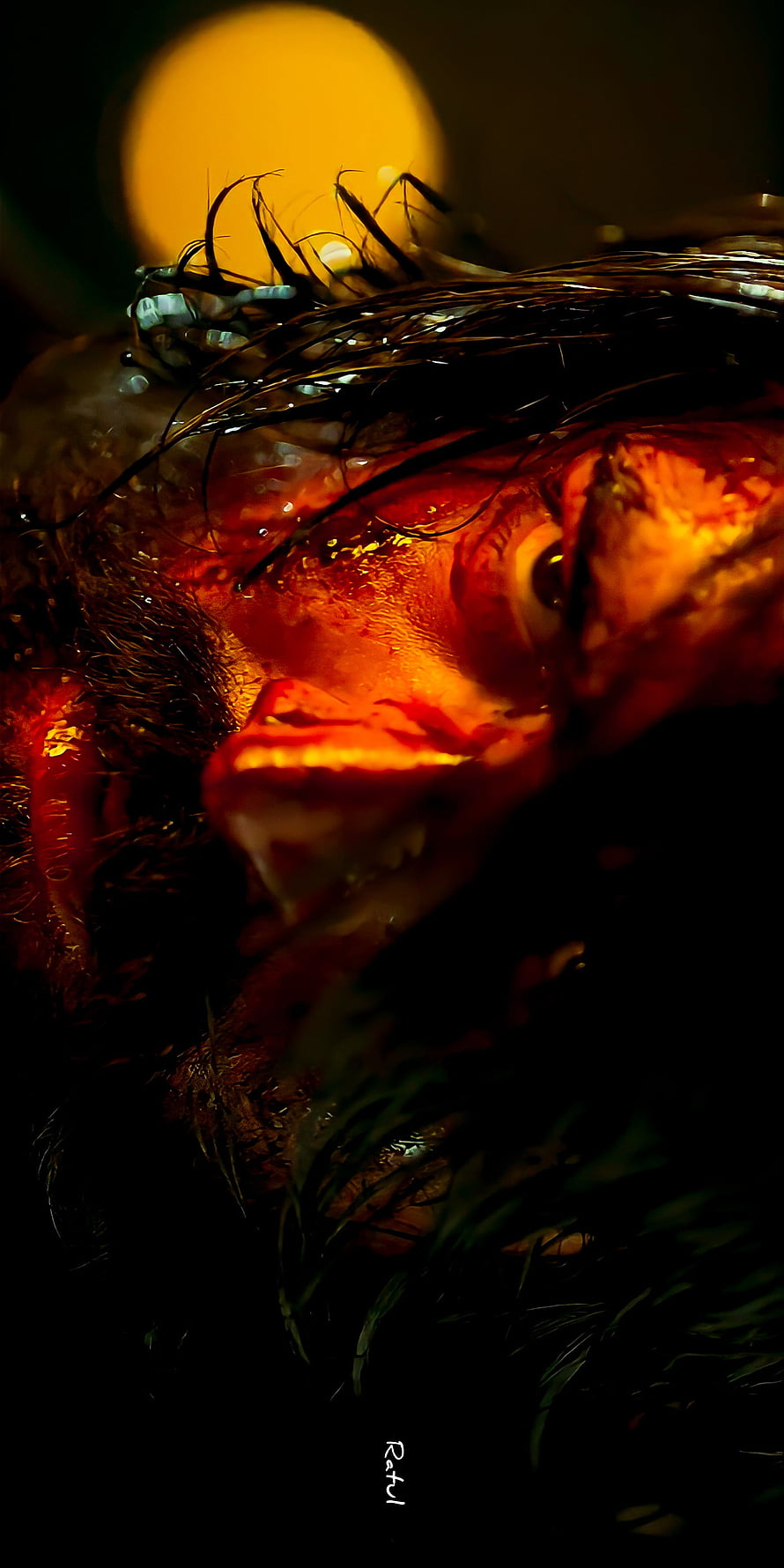 Close-up portrait of a man's face illuminated by intense orange light with wet hair and dramatic shadows, KGF Chapter 2, eye, Rocky, Yash HD phone wallpaper