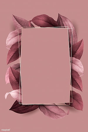 Elegant Pink Botanical Frame with Layered Leaves and Minimalist Rectangle Border HD phone wallpaper