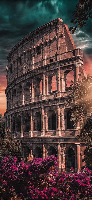 Colosseum in Rome at Dusk with Vibrant Bougainvillea and Dramatic Teal Sky HD phone wallpaper