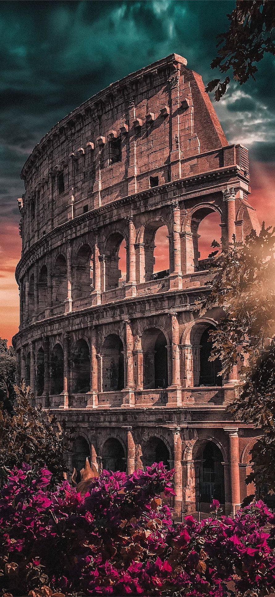 Colosseum in Rome at Dusk with Vibrant Bougainvillea and Dramatic Teal Sky HD phone wallpaper