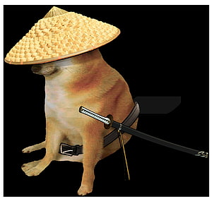 Samurai Cheems Doge Meme with Katana and Conical Hat on Black Background HD wallpaper