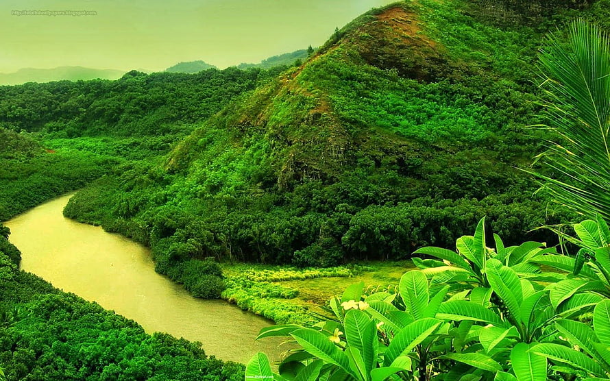 Lush Green Mountain Valley With Winding River And Tropical Foliage HD wallpaper