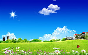 Sunny Green Meadow with Windmills, Daisies, and a Bright Blue Sky HD wallpaper