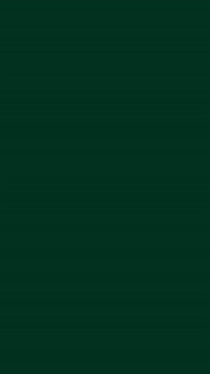 Deep Forest Green Solid Color Background for Minimalist Desktop and Mobile Screens HD phone wallpaper