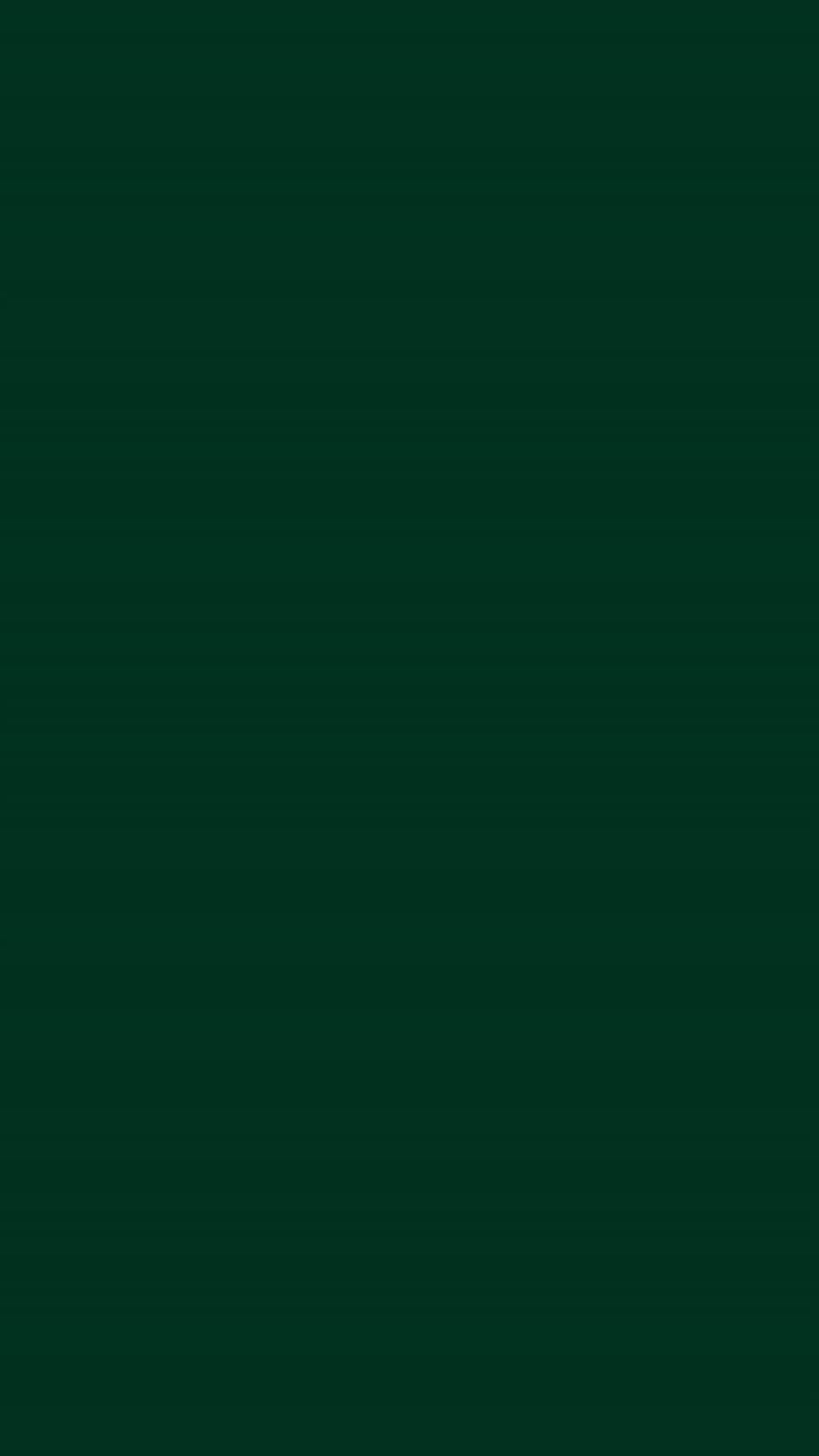 Deep Forest Green Solid Color Background for Minimalist Desktop and Mobile Screens HD phone wallpaper