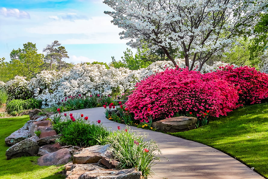Vibrant Spring Garden Path Lined With Pink Azaleas, White Blossoms, And Red Tulips HD wallpaper