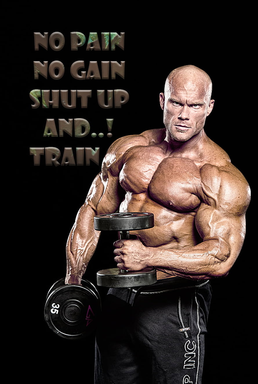 Motivational Bodybuilder Holding Dumbbell With No Pain No Gain Text On Black Background HD phone wallpaper