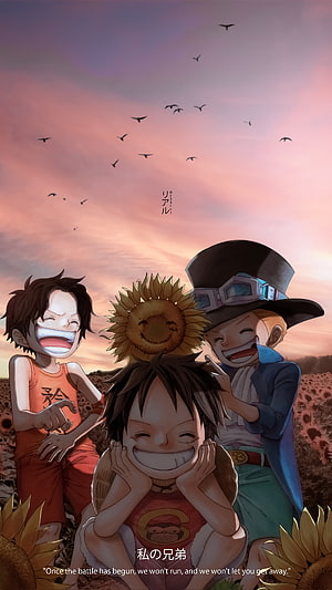 Luffy Sabo and Ace Laughing Together in a Sunflower Field at Sunset HD phone wallpaper