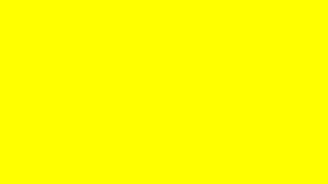 Vibrant Solid Yellow Color Background for Desktop and Mobile Wallpaper HD wallpaper