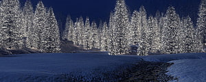 Snow-Covered Pine Forest at Night with Falling Snowflakes and Deep Blue Sky HD wallpaper