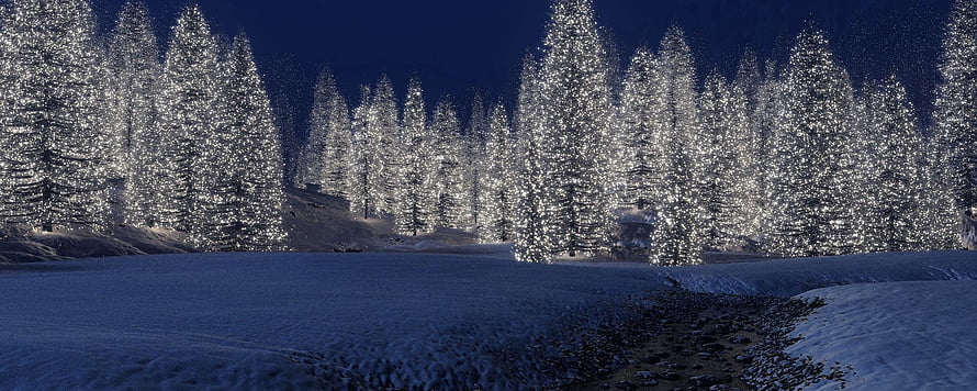 Snow-Covered Pine Forest at Night with Falling Snowflakes and Deep Blue Sky HD wallpaper