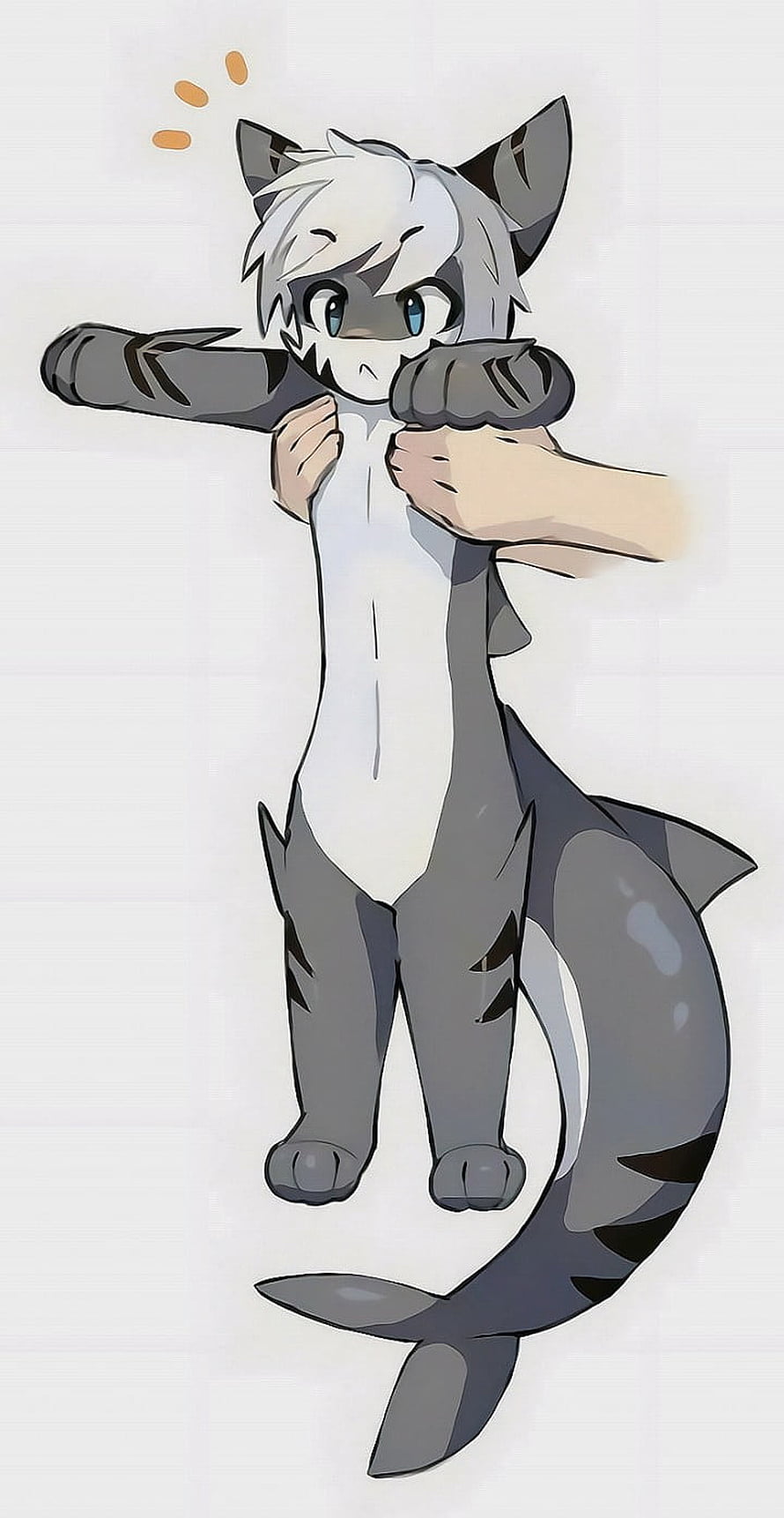 Cute Anime Furry Character With Tiger Shark Tail Being Held By Human Hands, Tiger shark, furries, Changed, furry HD phone wallpaper