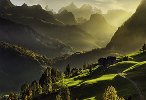 Alpine Sunrise Over Swiss Mountain Valley With Misty Forests and Green Pastures HD wallpaper