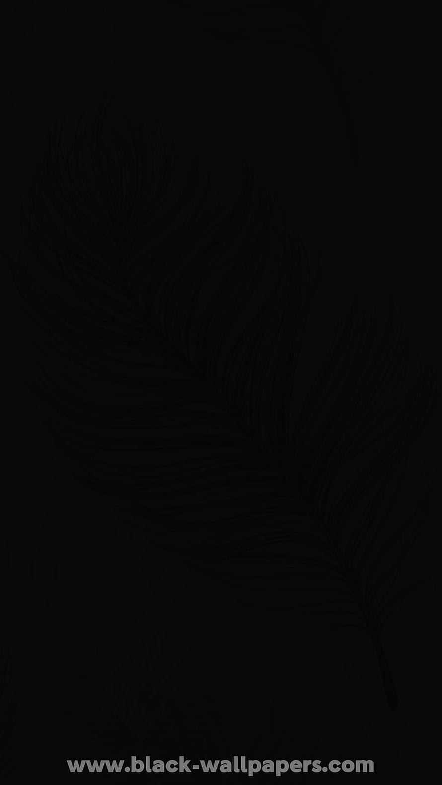 Minimalist Black Feather Line Art Wallpaper HD phone wallpaper