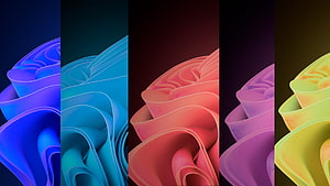 Windows 11 Abstract Flowing Ribbon Wallpapers in Vibrant Color Variations HD wallpaper