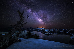 Milky Way arching over a snow-covered winter lake with a gnarled tree silhouette HD wallpaper