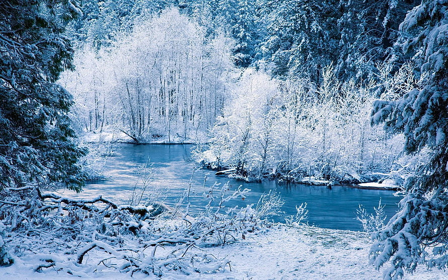 Serene Winter River Landscape with Snow-Covered Forest and Frozen Water HD wallpaper