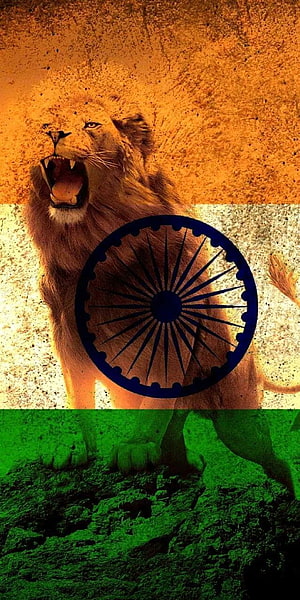 Roaring Lion Superimposed on Indian Flag with Ashoka Chakra HD phone wallpaper