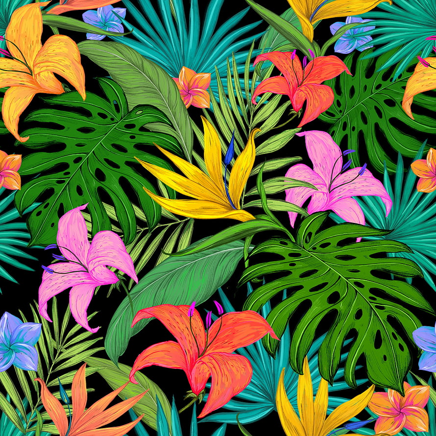 Vibrant Tropical Floral Pattern with Monstera Leaves, Bird of Paradise, and Lilies on Black Background HD phone wallpaper