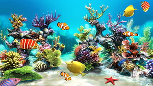 Vibrant Coral Reef Underwater Scene With Colorful Tropical Fish And Starfish HD wallpaper