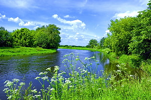 Serene River Landscape With Lush Greenery And White Wildflowers Under A Bright Blue Sky HD wallpaper