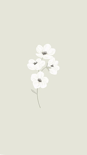 Minimalist White Flower Illustration on Soft Beige Background HD phone wallpaper