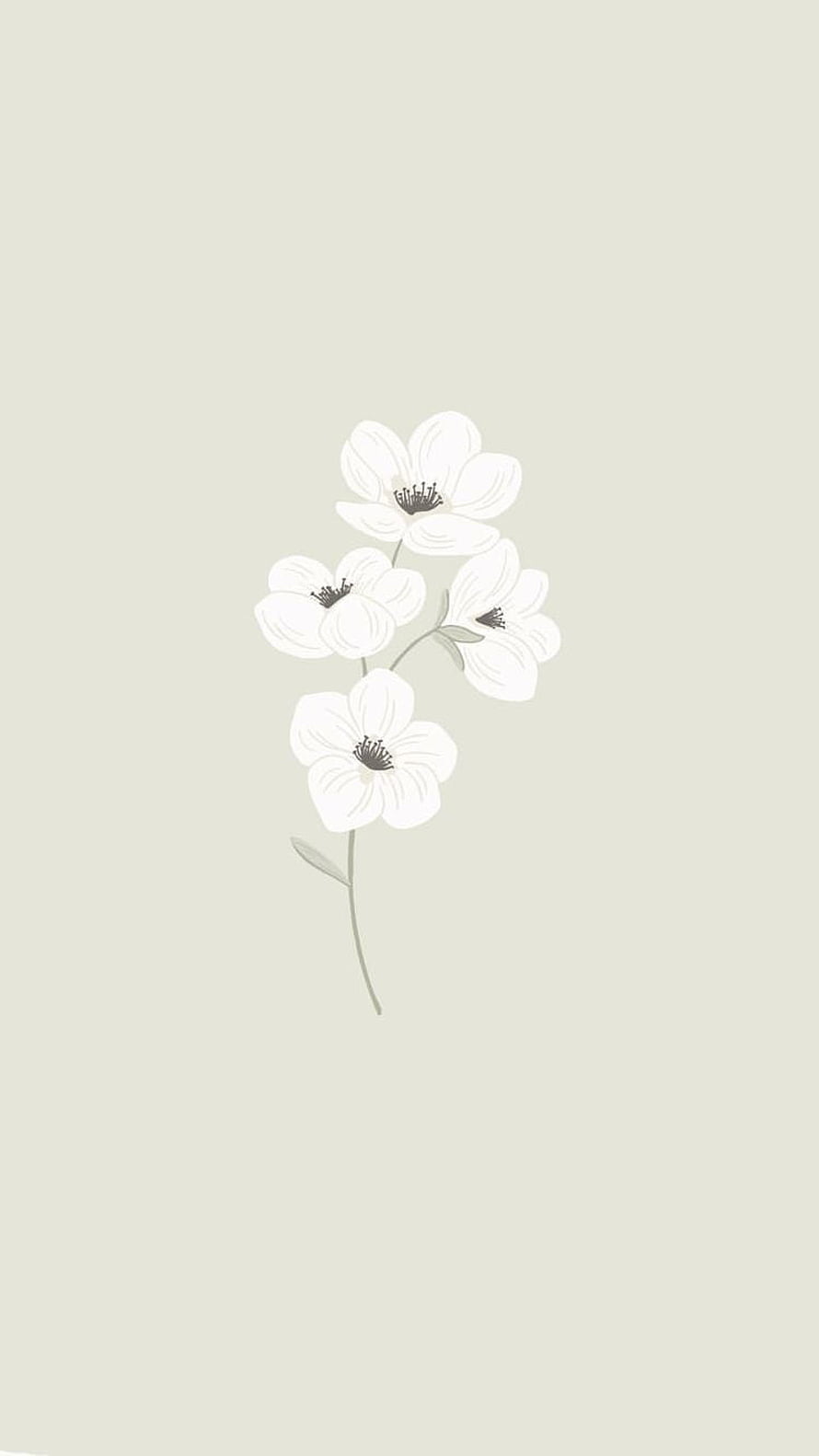 Minimalist White Flower Illustration on Soft Beige Background HD phone wallpaper