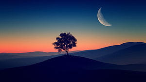 Solitary Tree Silhouette on Rolling Hills Under a Crescent Moon at Sunset HD wallpaper