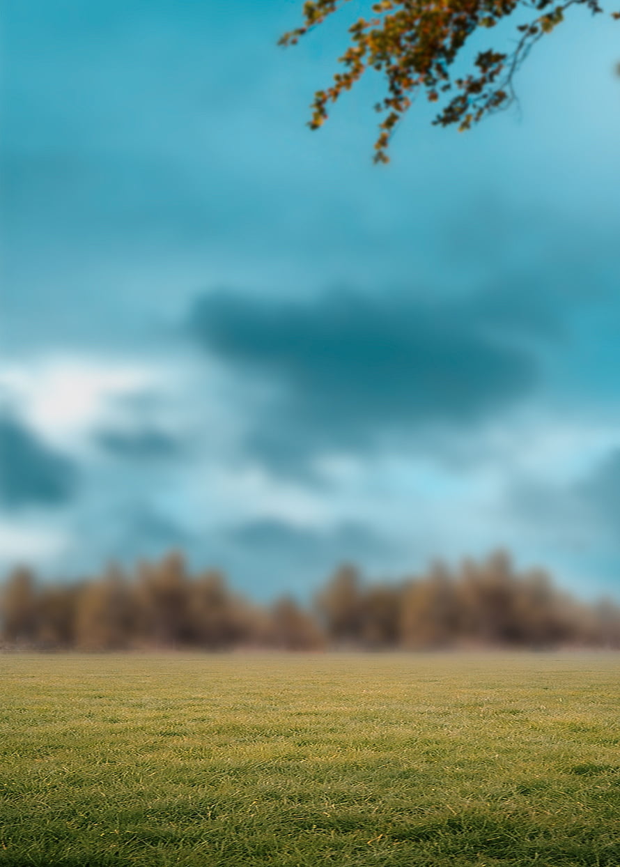 Serene Green Meadow With Blurred Autumn Trees And Dramatic Blue Sky HD phone wallpaper