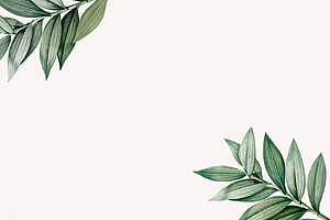 Minimalist Watercolor Botanical Leaf Frame on Cream Background HD wallpaper
