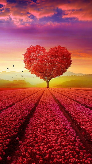 Romantic Heart-Shaped Tree in a Field of Red Tulips at Sunset, Beautiful Heart, Love, Heart HD phone wallpaper
