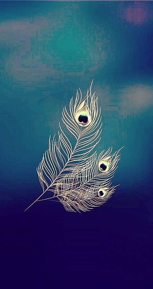 Elegant Peacock Feathers with Golden Eyes on a Gradient Blue Background HD phone wallpaper