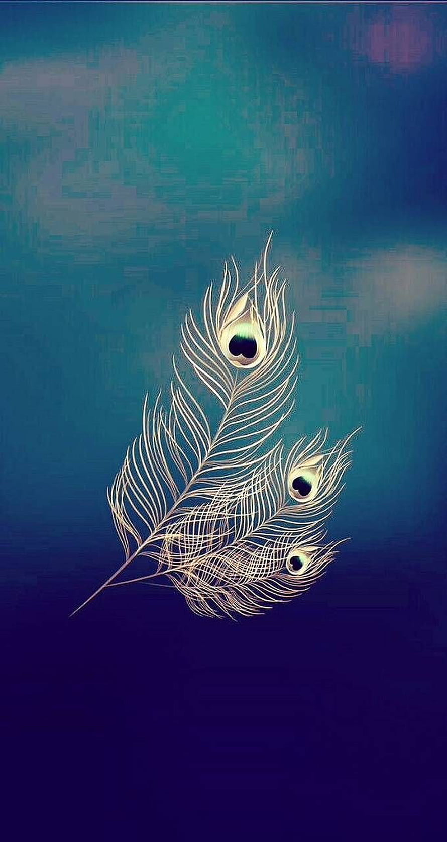 Elegant Peacock Feathers with Golden Eyes on a Gradient Blue Background HD phone wallpaper
