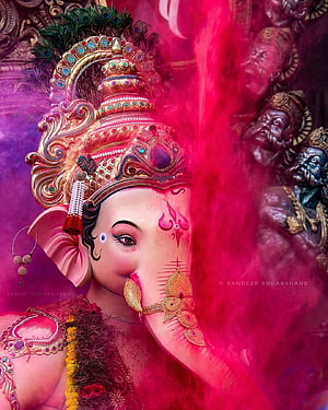 Vibrant Ganesha Portrait with Peacock Crown and Pink Holi Powder HD phone wallpaper