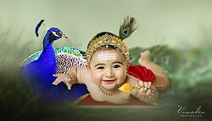 Baby Murugan with Peacock and Vel in Traditional Attire HD wallpaper