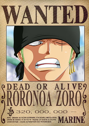 Roronoa Zoro Wanted Poster One Piece Anime Character Illustration HD phone wallpaper
