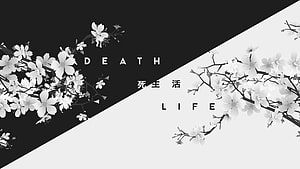 Monochrome Cherry Blossom Branches with Death and Life Typography HD wallpaper