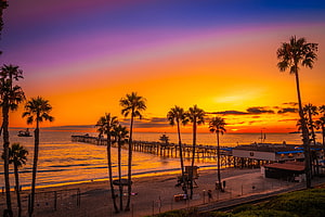 San Clemente Pier and Palm Trees at Golden Sunset on the California Coast HD wallpaper