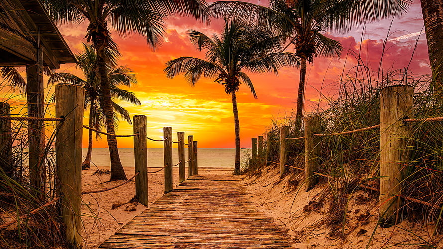 Tropical beach boardwalk leading to ocean at fiery sunset with palm trees and wooden fence HD wallpaper