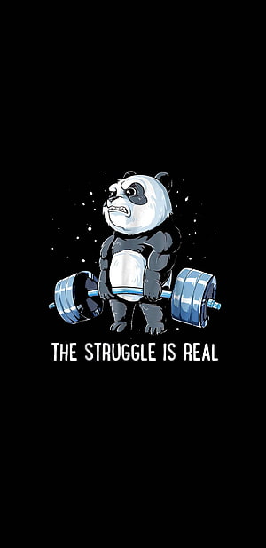 Funny cartoon panda lifting heavy barbell weights with struggle quote on black background HD phone wallpaper