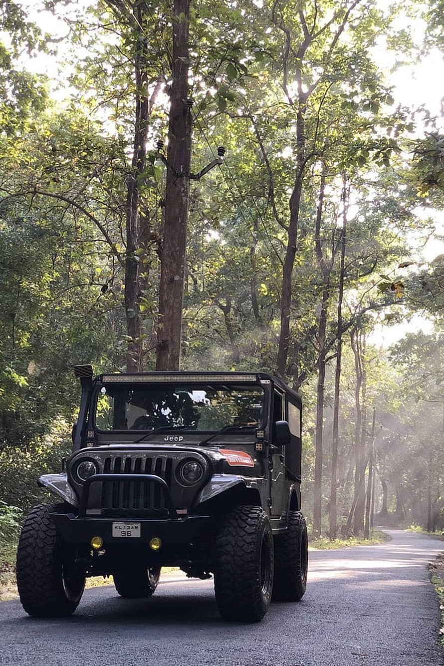 Modified Black Jeep Wrangler Driving on Forest Road HD phone wallpaper