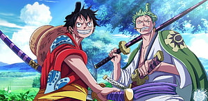 Monkey D. Luffy and Roronoa Zoro Anime Wallpaper HD wallpaper