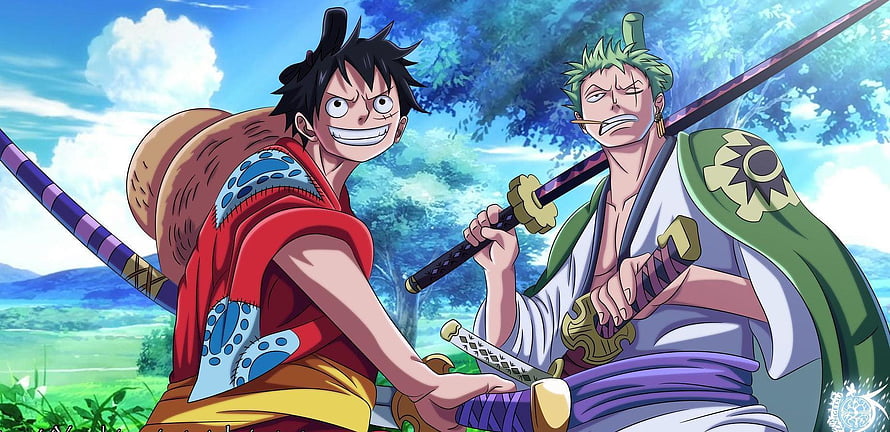 Monkey D. Luffy and Roronoa Zoro Anime Wallpaper HD wallpaper