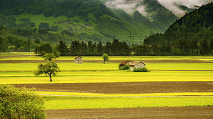 Lush Green Valley Farm with Rustic Sheds and Misty Mountain Backdrop HD wallpaper