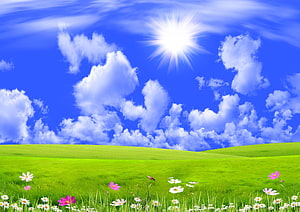 Vibrant Green Rolling Hills Under Bright Blue Sky With White Clouds And Wildflowers HD wallpaper